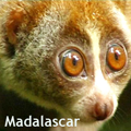 Madagascar, anecdotes, adresses.